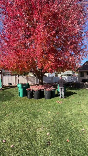 @Lawngest Yard