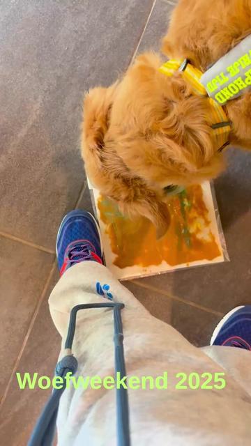 @Mieke🧩Pluto🐾 Mickey🐾