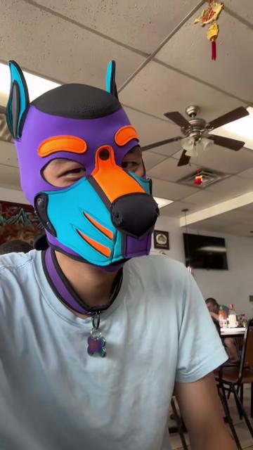 @The Cactus Pup
