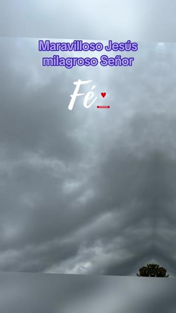 @🫂🐾♉️Masiel🫶 ⩜⃝🌈🦩