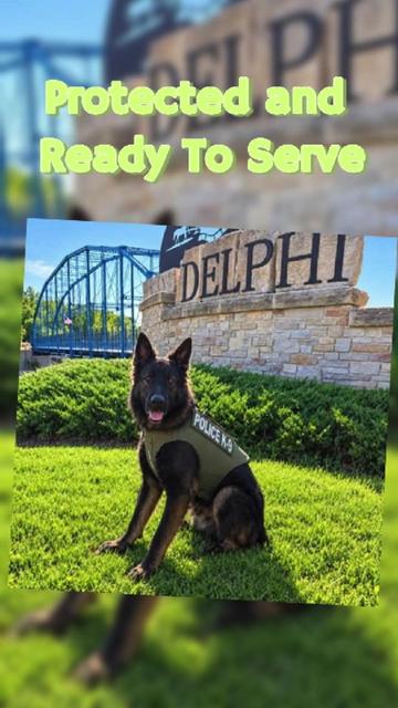 @Vested Interest in K9s, Inc.