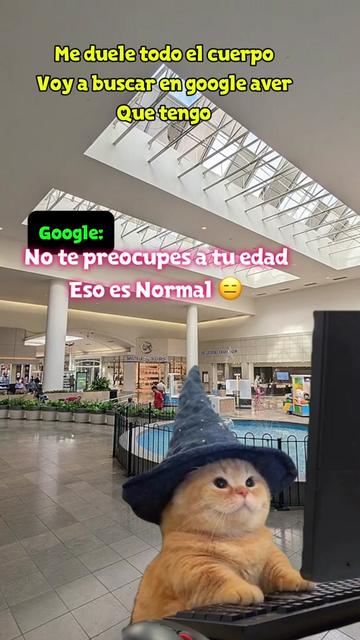 @💛🤎BonitaGirasol91