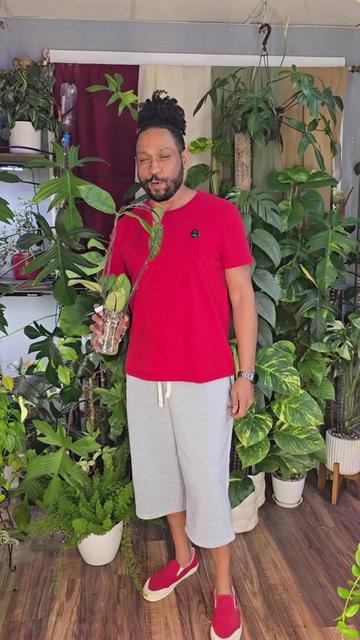 @JT - BigEGOPlants