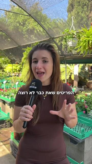 @Keren Kozlov