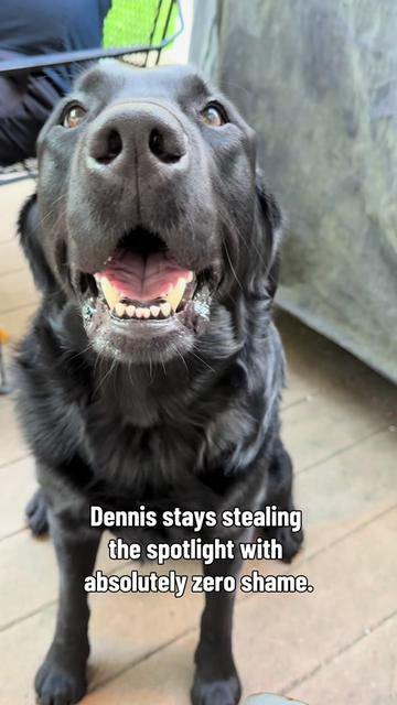 @DennisTheBlackLab