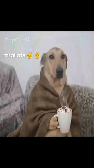 @Berlusconiii🇮🇹👑