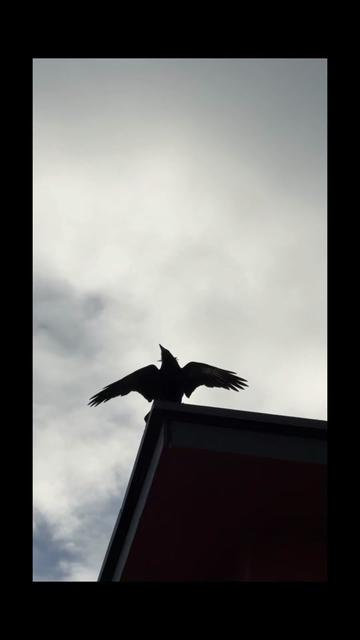 @HighElevationHappy