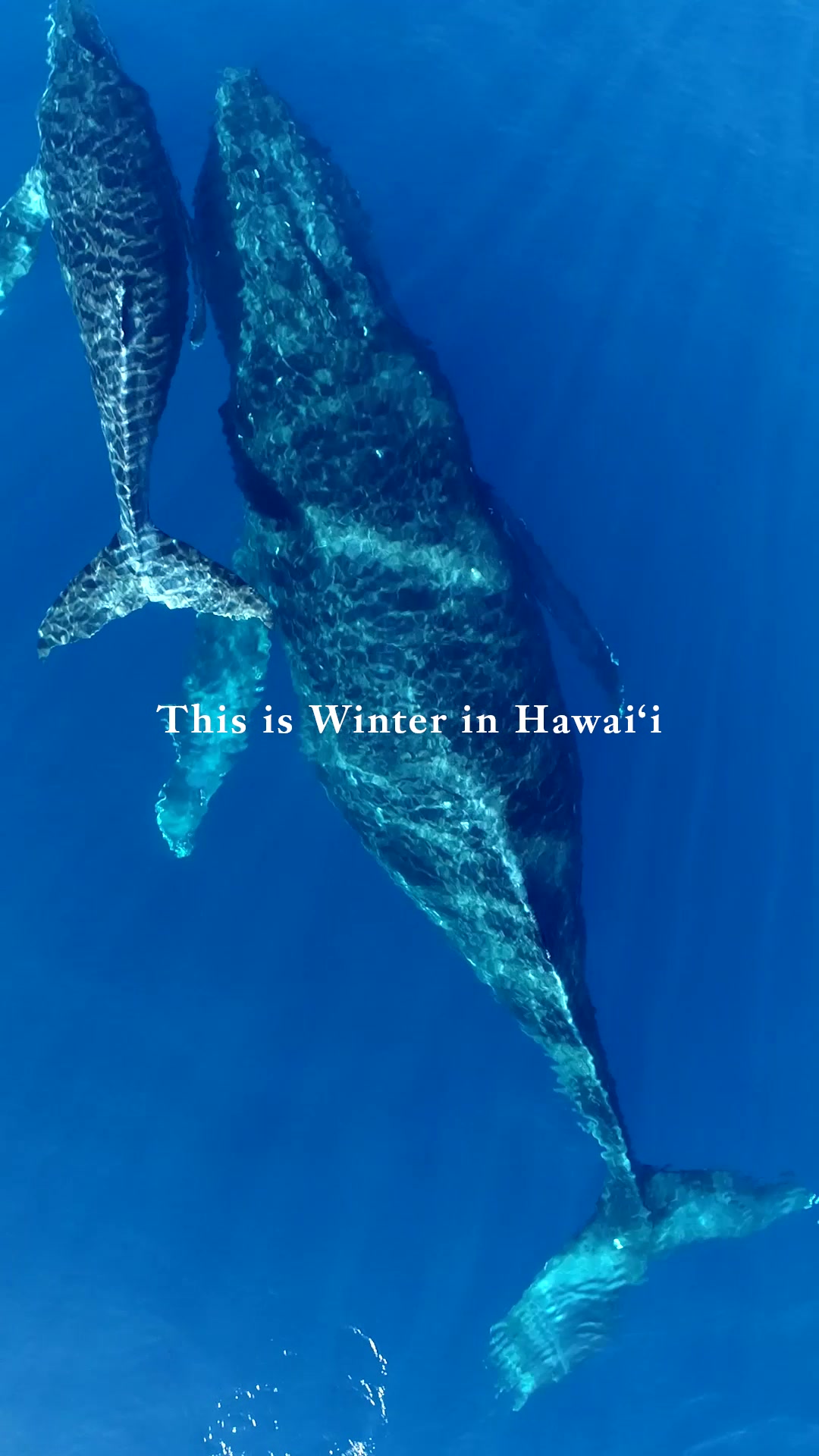 @Hawai‘i