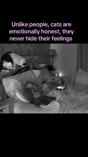 @romina.owned.by.cats