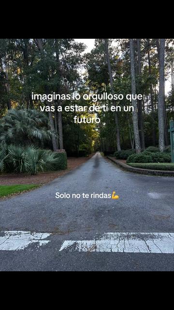 @sofia felix
