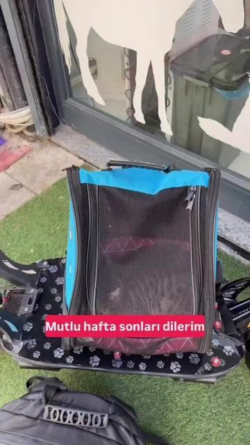 @Salim Kuntoğlu