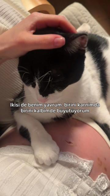 @Sena Bostancı