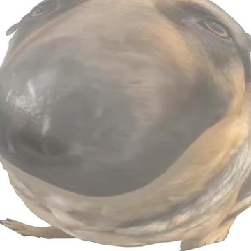 @jseg