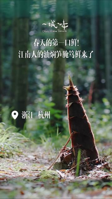 @TrendZ_CN