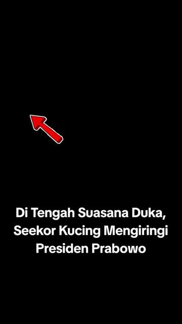 @Tedy Arman 08