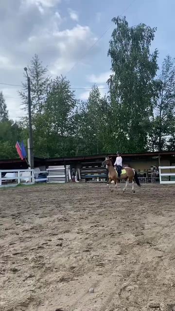 @ТГК: Elenassksv