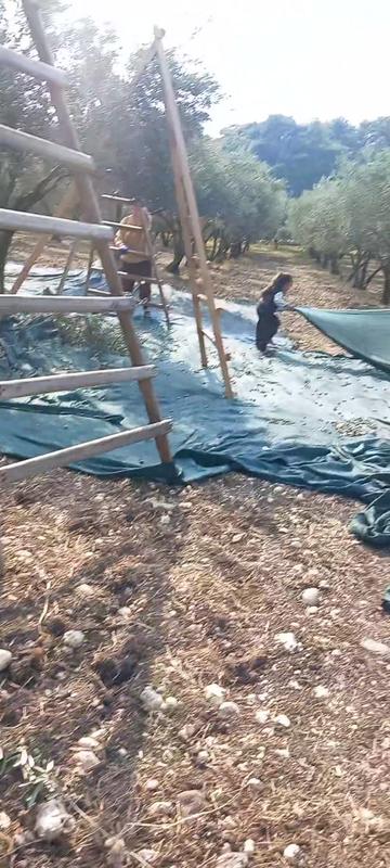 @Atay Karabacak