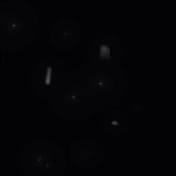 @fawn ⋆౨ৎ˚