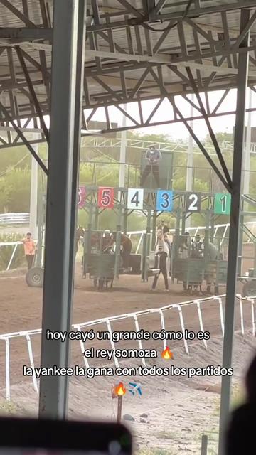 @carriles altos de jalisco🐎