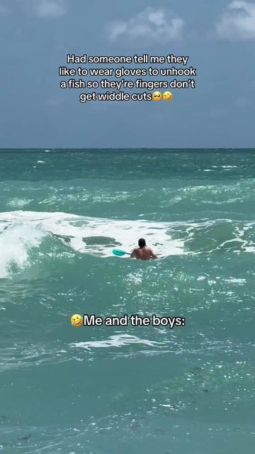 @772SHARKMAFIA