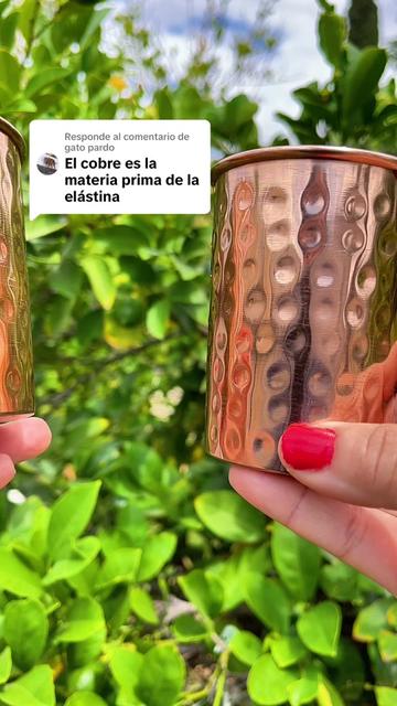 @Vane |Tips