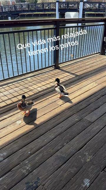 @jacquelin3s
