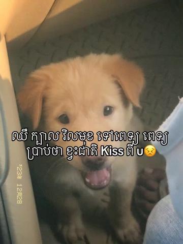 @leler__67