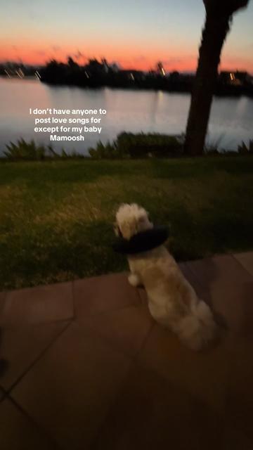 @SmileySarah32 🤡
