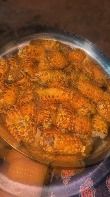 @ranjana205682