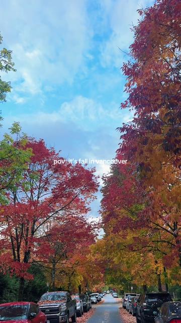 @Fatema | Food & Travel