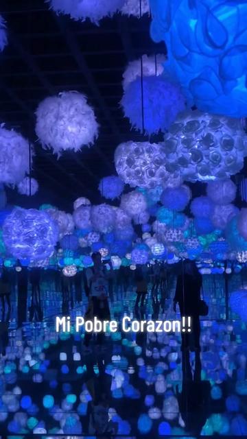 @Maribel Ocampo