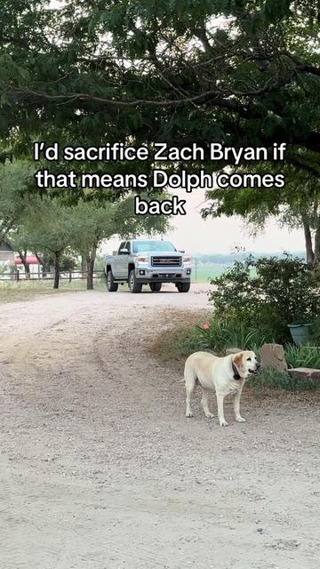 @Ryan Y 🦆
