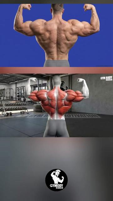 @GYM BODY MOTIVATION