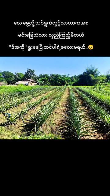 @KO Chit