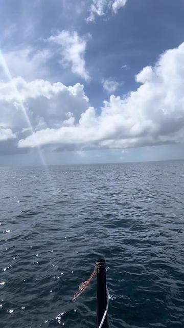 @pelaut gacor 🌊🥷🏻