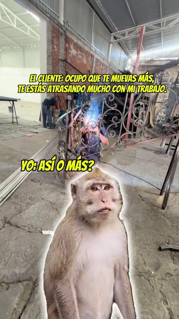 @herreriarica26