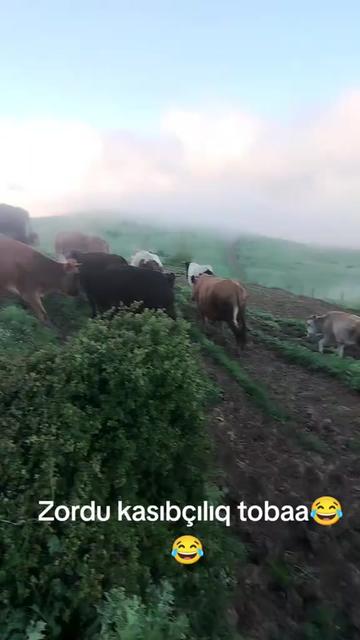 @МАСАЛЛЫ ХАКИМ  РОССИЯ КАЗАНЬ