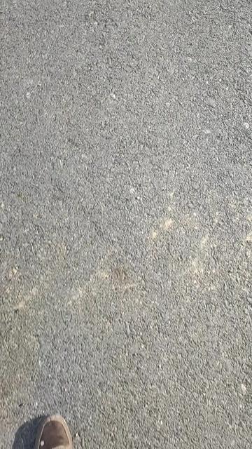 @Mercedes 575QKZ05🇰🇿