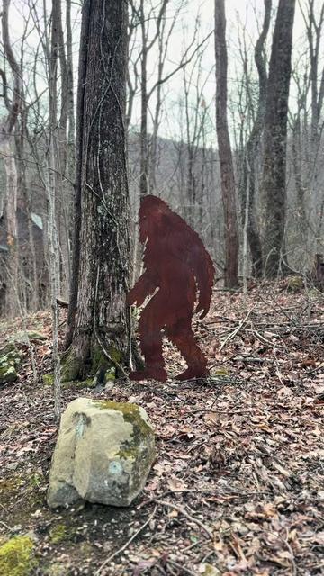 @SmokyMountainDreamVacation.com