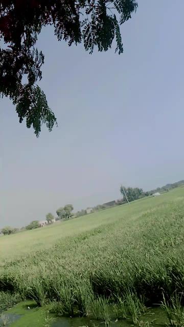 @Shah Jahan Khan
