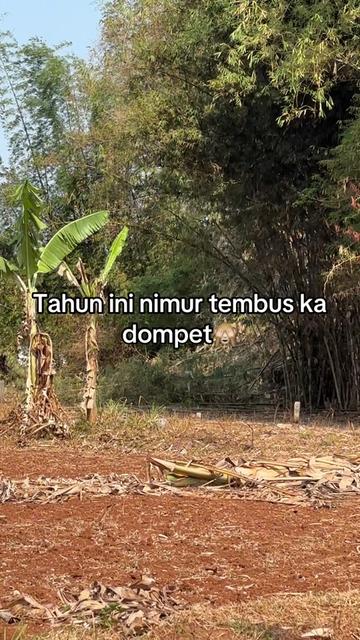 @AY LA
