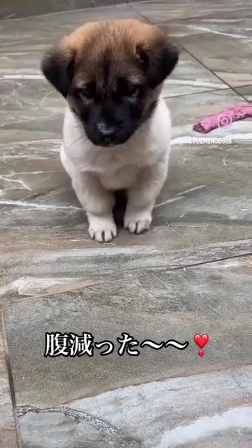 @user1253083083448