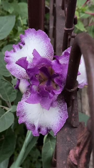 @๐
ข โฆพ ๐
โฆพ ๐
โฆพ ๐
โฆพ ๐
โฆพ ๐
จ