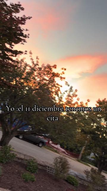 @️Alana #504