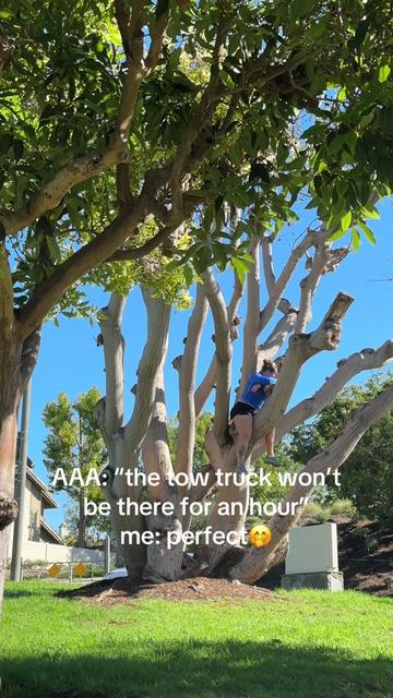 @Amanda Rae