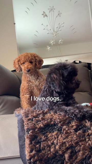 @packwalkdiaries