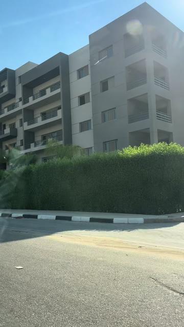 @Shahd Bader