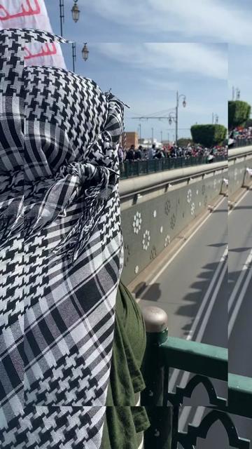 @Free Palestine 🇵🇸
