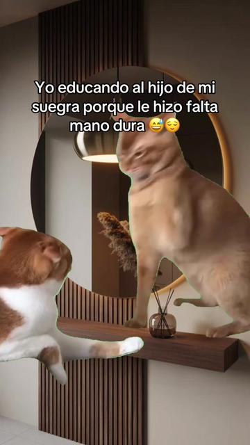 @Diana Arriaga