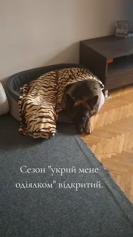 @МАТЬ ДРАКОНІВ🤣